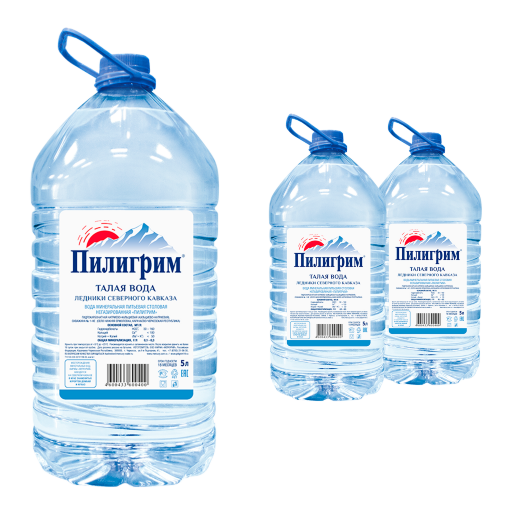Минеральная питьевая вода Пилигрим негазированная, ПЭТ (5л*2шт) &mdash; 